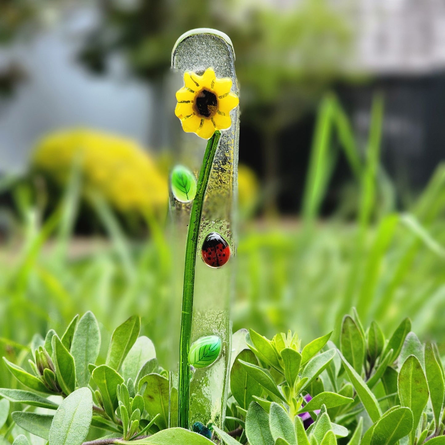 Plant Pokie