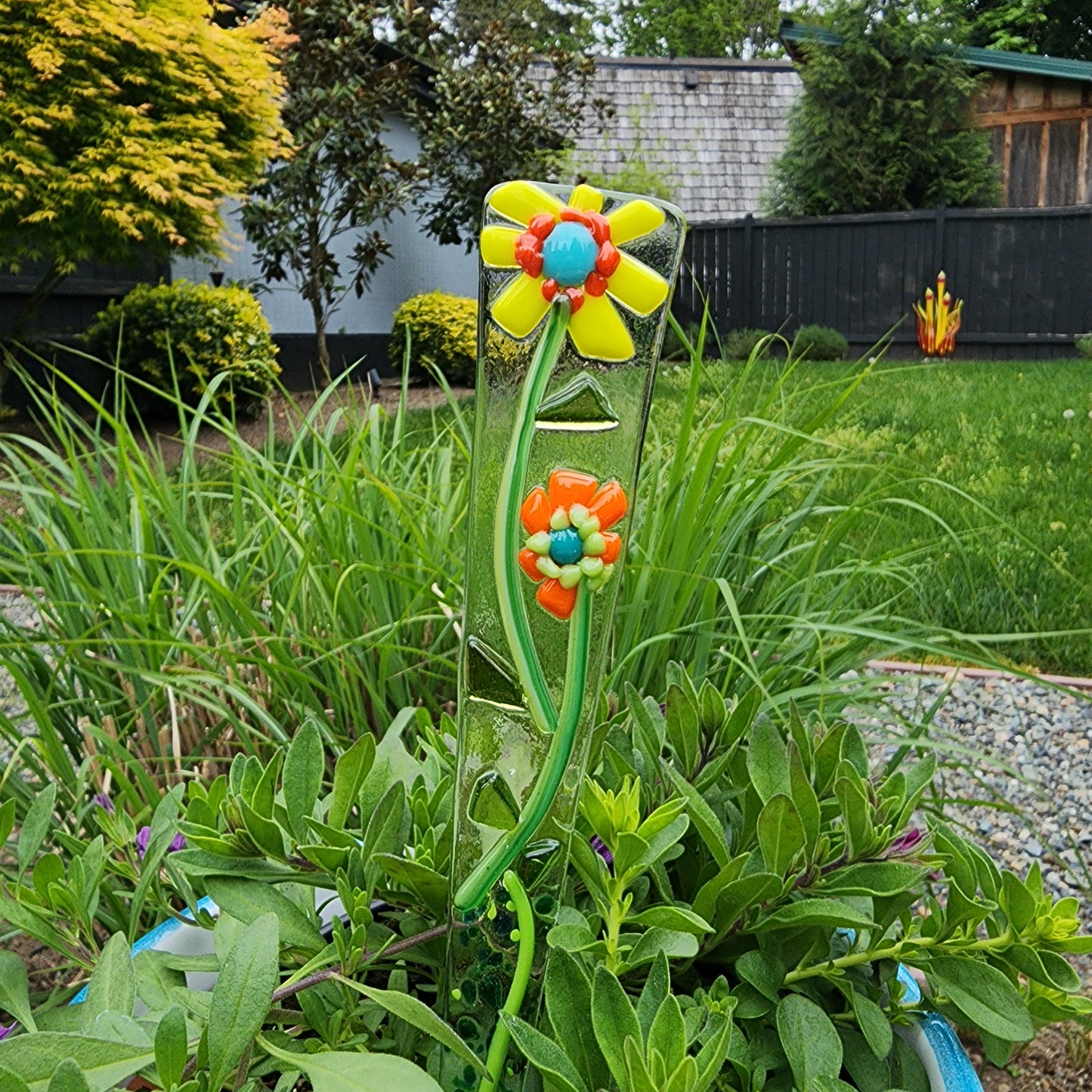 Plant Pokie