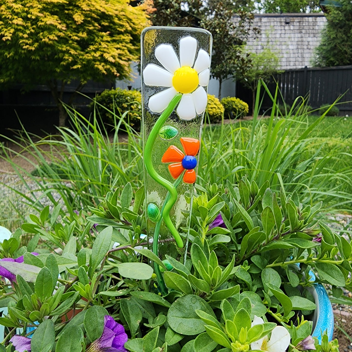 Plant Pokie