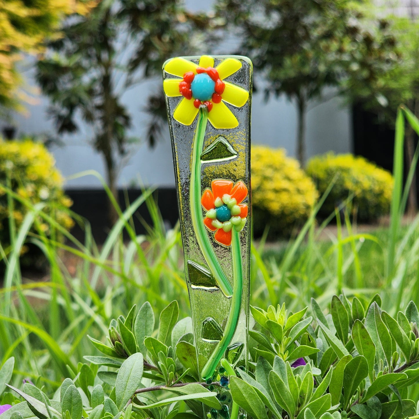 Plant Pokie