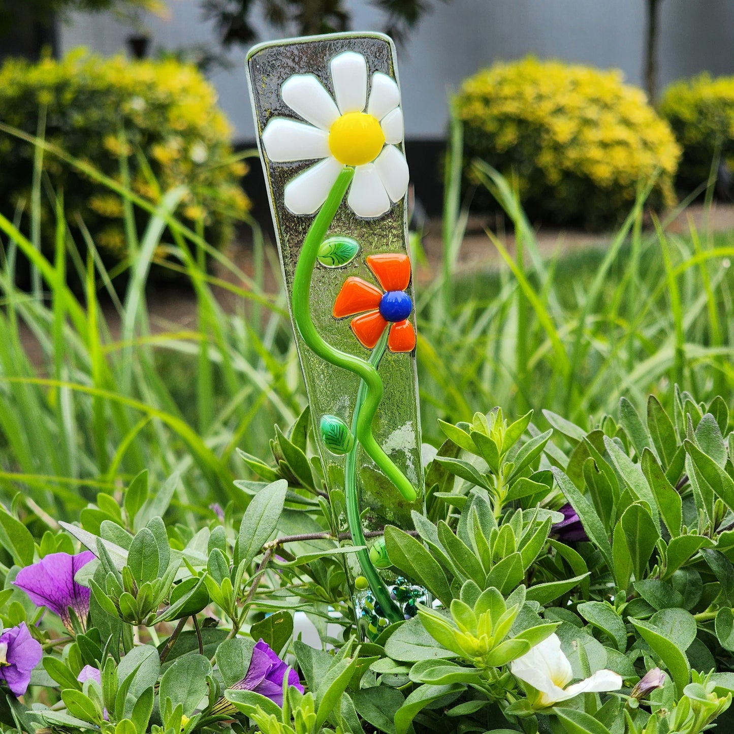 Plant Pokie