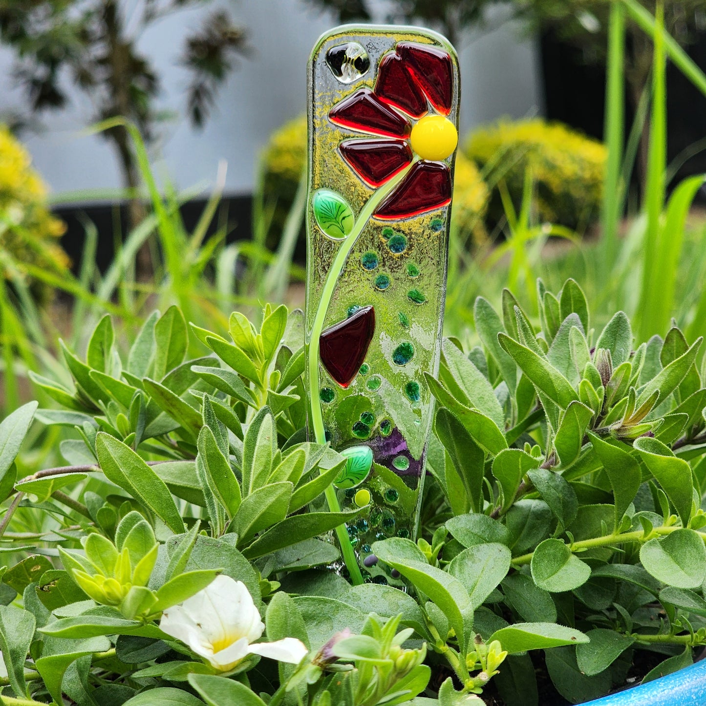 Plant Pokie