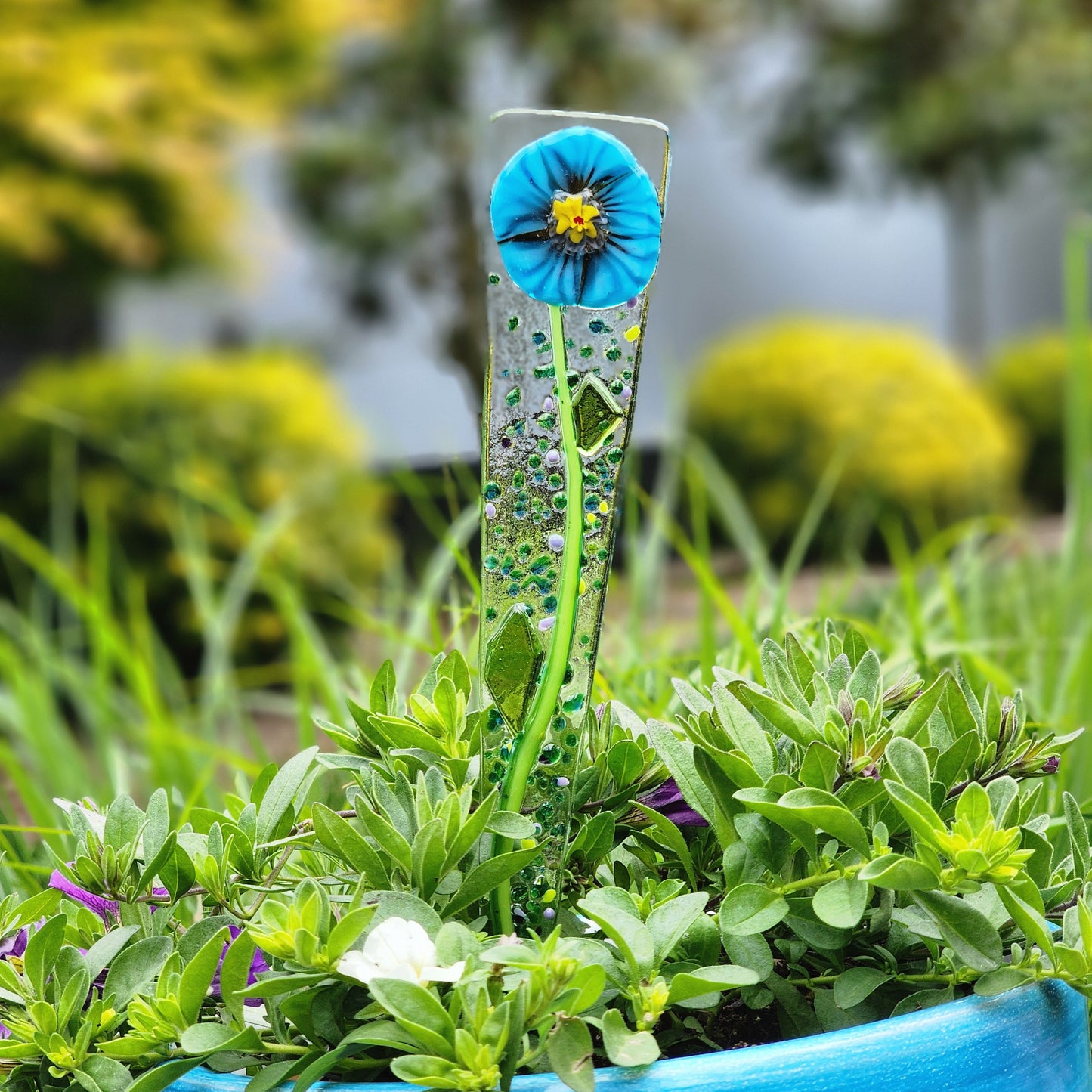 Plant Pokie