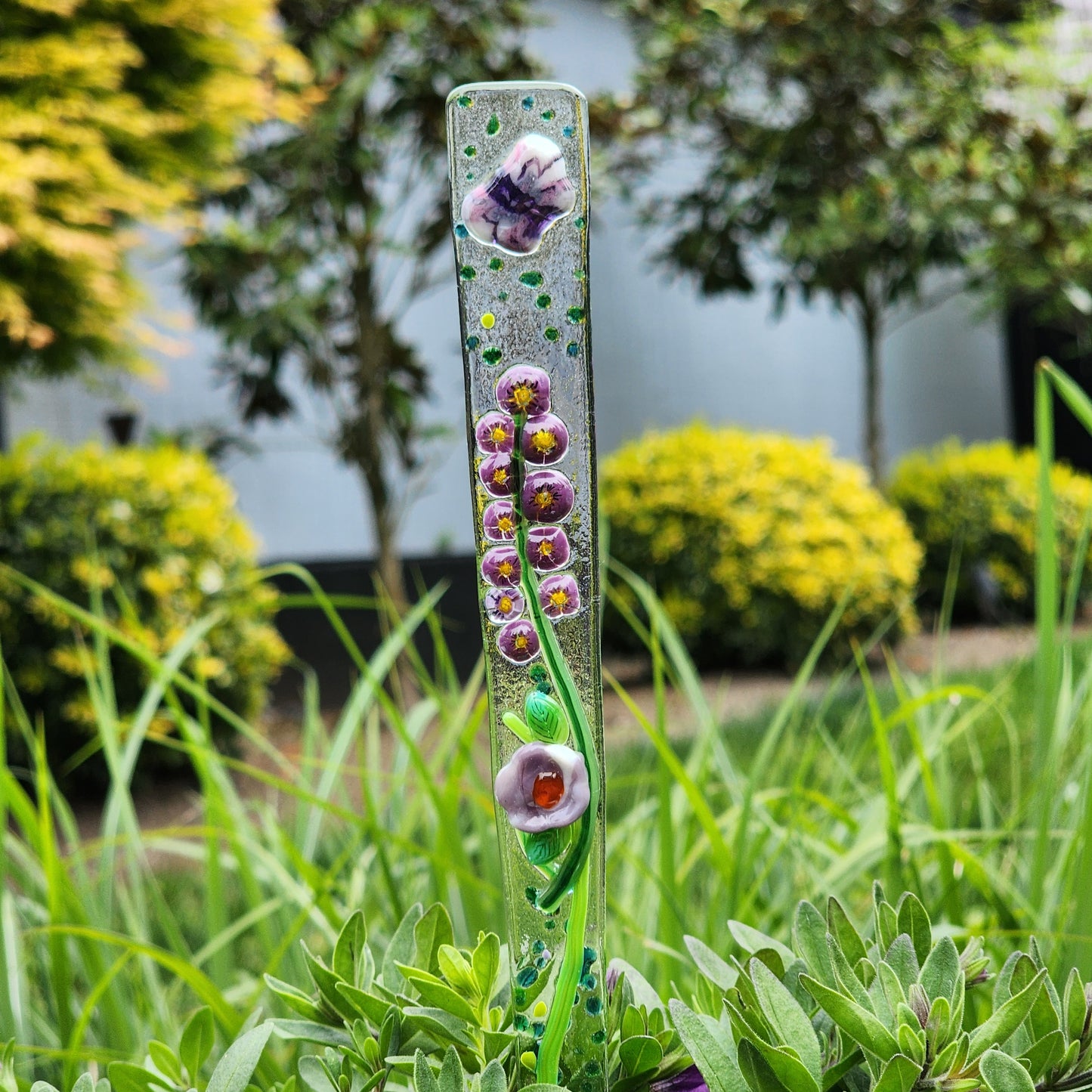 Plant Pokie
